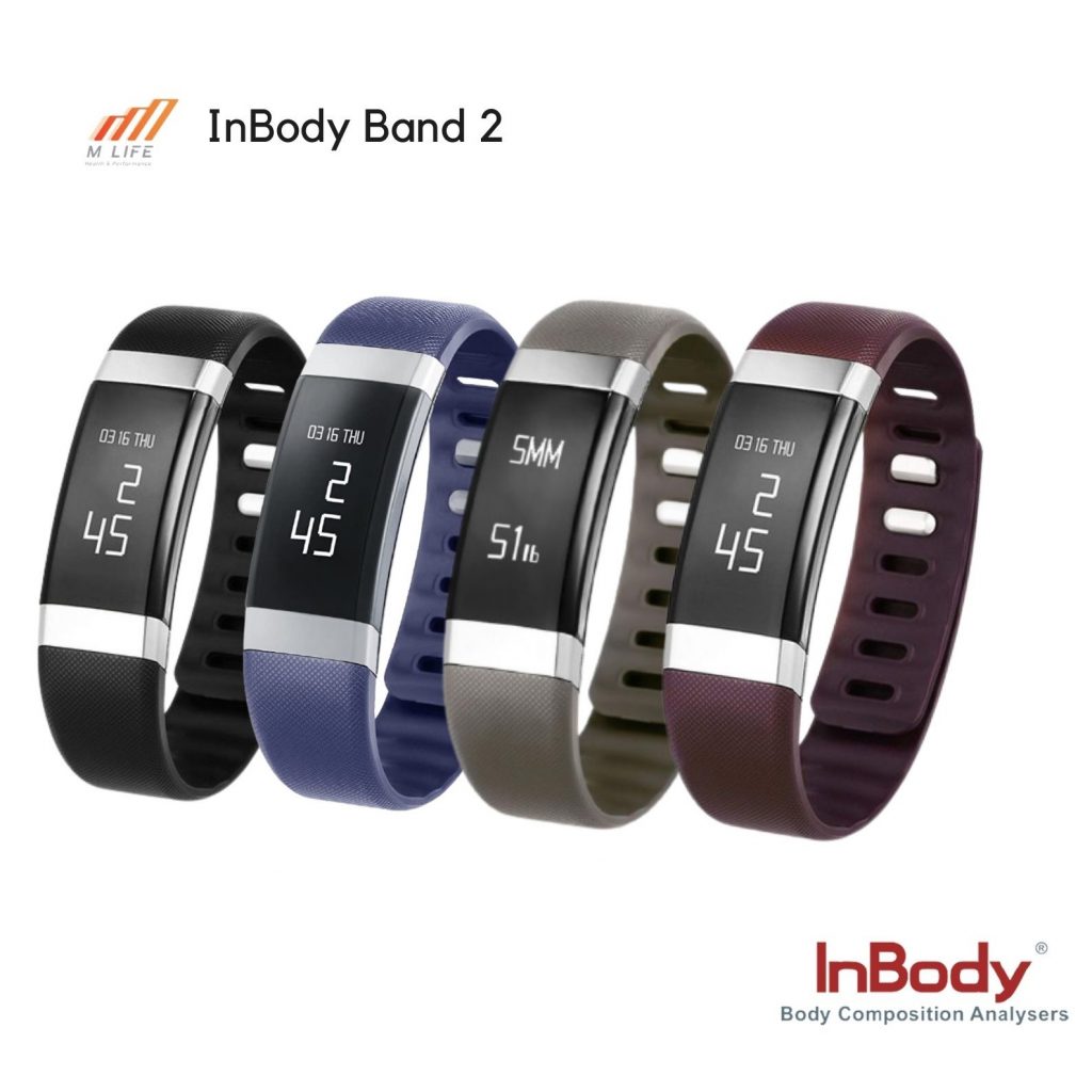 inbody band 2
